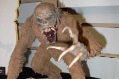 wildman2_paint